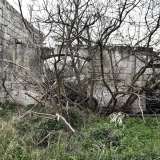 Approdiamo sul retro e ci ritroviamo in un piccolo giardino decadente invaso da un groviglio di rami secchi, un tempo forse un cortile o un agrumeto